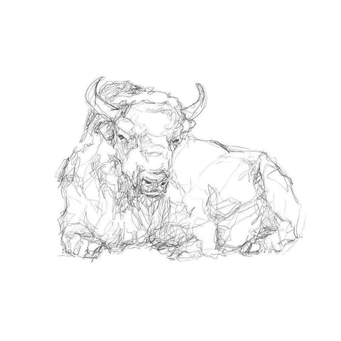 Bison Contour Sketch II Gold Ornate Wood Framed Art Print with Double Matting by Harper, Ethan