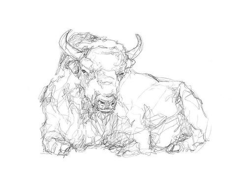 Bison Contour Sketch II White Modern Wood Framed Art Print with Double Matting by Harper, Ethan