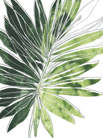 Expressive Palm I White Modern Wood Framed Art Print with Double Matting by Vess, June Erica