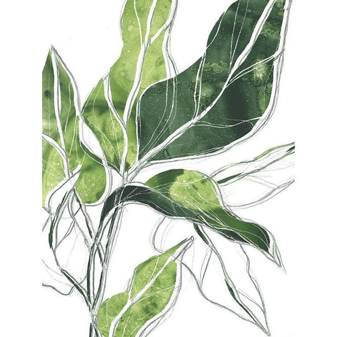 Expressive Palm III White Modern Wood Framed Art Print by Vess, June Erica