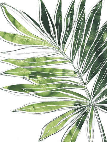 Expressive Palm IV White Modern Wood Framed Art Print with Double Matting by Vess, June Erica