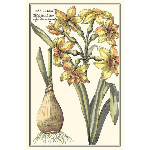 Botanical Beauty IV Gold Ornate Wood Framed Art Print with Double Matting by Vision Studio