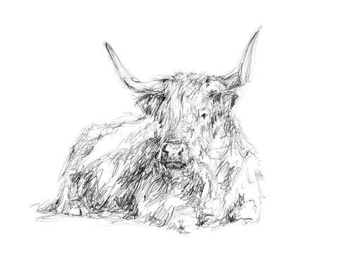 Highland Cattle Sketch I Black Ornate Wood Framed Art Print with Double Matting by Harper, Ethan