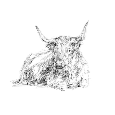 Highland Cattle Sketch I Black Modern Wood Framed Art Print with Double Matting by Harper, Ethan