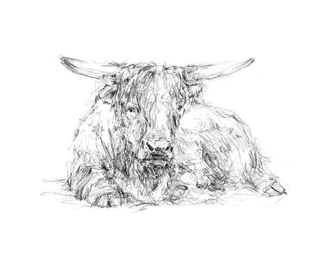 Highland Cattle Sketch II Black Ornate Wood Framed Art Print with Double Matting by Harper, Ethan