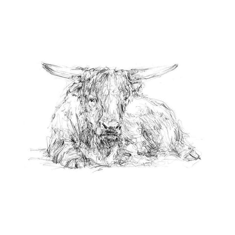 Highland Cattle Sketch II Black Modern Wood Framed Art Print with Double Matting by Harper, Ethan