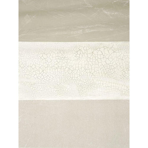 Cracked Parchment I Black Modern Wood Framed Art Print by Lam, Vanna