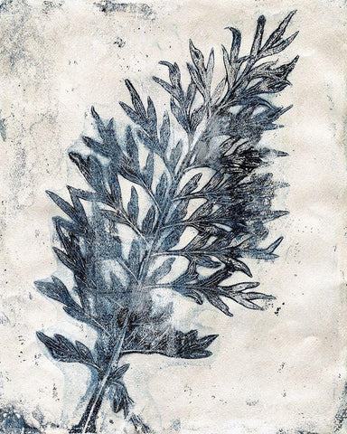 Presence of Nature II Black Ornate Wood Framed Art Print with Double Matting by Bramma, Lila