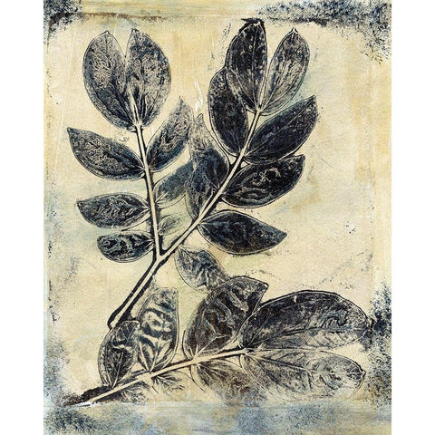 Presence of Nature V Black Modern Wood Framed Art Print by Bramma, Lila