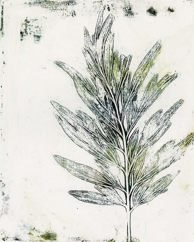 Presence of Nature VIII White Modern Wood Framed Art Print with Double Matting by Bramma, Lila