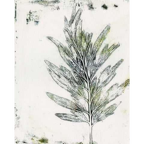 Presence of Nature VIII Gold Ornate Wood Framed Art Print with Double Matting by Bramma, Lila