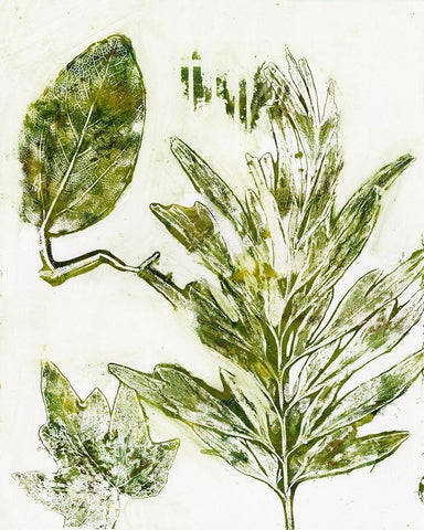 Presence of Nature IX White Modern Wood Framed Art Print with Double Matting by Bramma, Lila