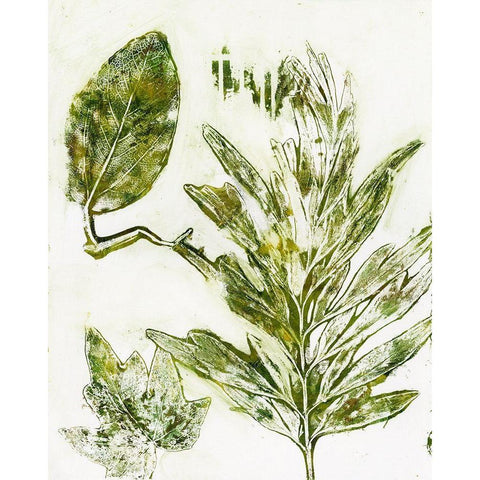 Presence of Nature IX Black Modern Wood Framed Art Print with Double Matting by Bramma, Lila