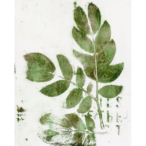 Presence of Nature X White Modern Wood Framed Art Print by Bramma, Lila