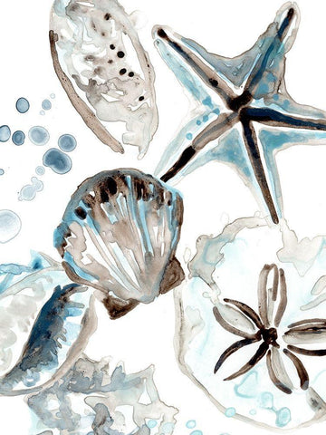 Cerulean Seashells I White Modern Wood Framed Art Print with Double Matting by Vess, June Erica