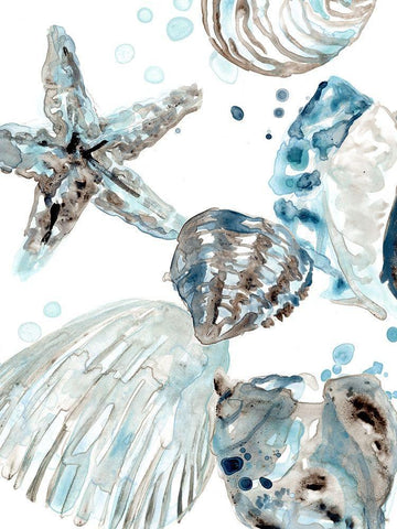 Cerulean Seashells II Black Ornate Wood Framed Art Print with Double Matting by Vess, June Erica