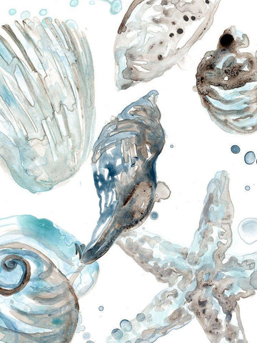 Cerulean Seashells III White Modern Wood Framed Art Print with Double Matting by Vess, June Erica