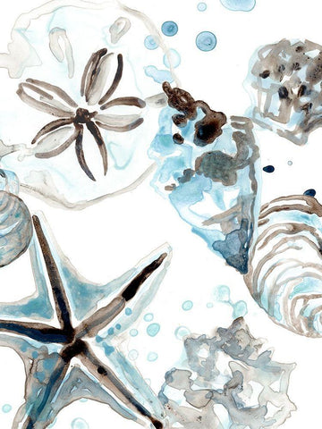 Cerulean Seashells IV White Modern Wood Framed Art Print with Double Matting by Vess, June Erica