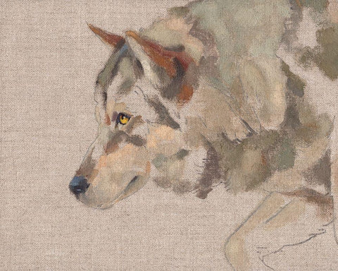 Timber Wolf II White Modern Wood Framed Art Print with Double Matting by Green, Jacob