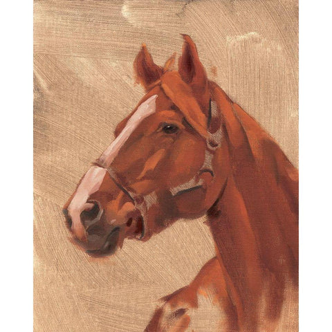 Thoroughbred I White Modern Wood Framed Art Print by Green, Jacob