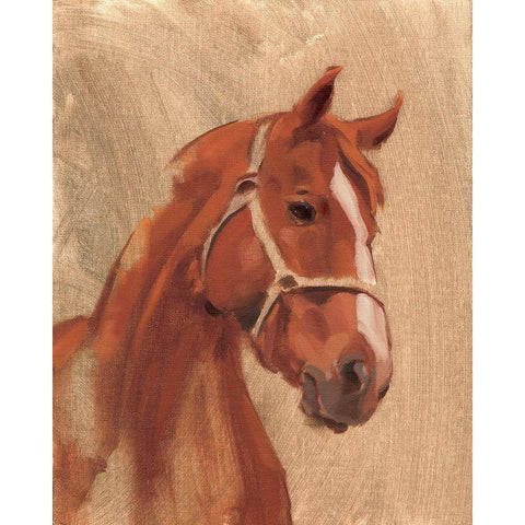 Thoroughbred II Black Modern Wood Framed Art Print with Double Matting by Green, Jacob