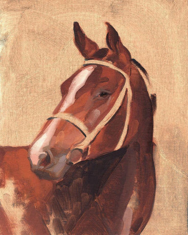 Thoroughbred III Black Ornate Wood Framed Art Print with Double Matting by Green, Jacob