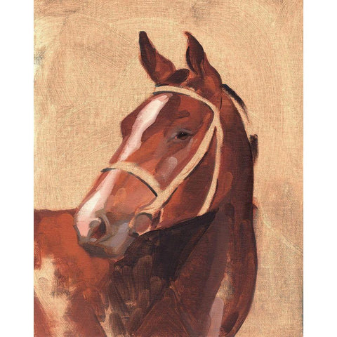 Thoroughbred III Black Modern Wood Framed Art Print with Double Matting by Green, Jacob
