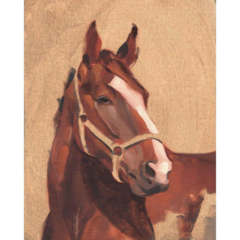Thoroughbred IV Gold Ornate Wood Framed Art Print with Double Matting by Green, Jacob