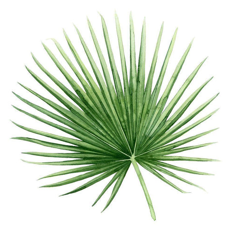 Rainforest Jewel II Black Ornate Wood Framed Art Print with Double Matting by Popp, Grace