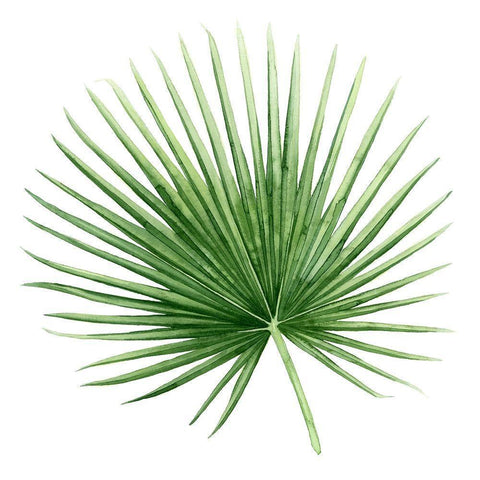 Rainforest Jewel II Black Modern Wood Framed Art Print by Popp, Grace