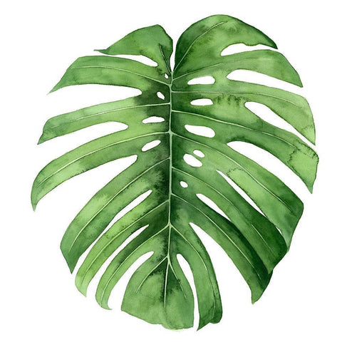 Rainforest Jewel IV Black Modern Wood Framed Art Print with Double Matting by Popp, Grace