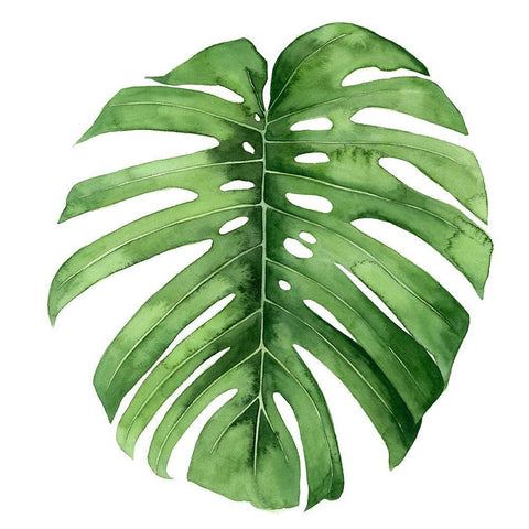 Rainforest Jewel IV White Modern Wood Framed Art Print with Double Matting by Popp, Grace