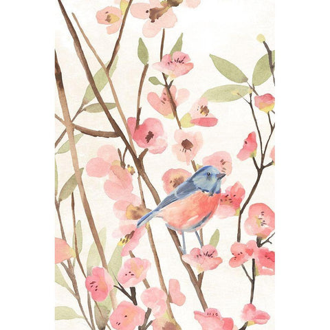 Cherry Blossom Perch I Black Modern Wood Framed Art Print with Double Matting by Warren, Annie