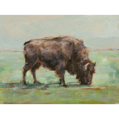 Where the Buffalo Roam I Black Modern Wood Framed Art Print by Harper, Ethan