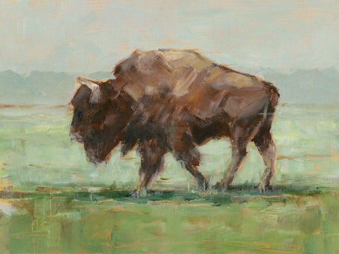 Where the Buffalo Roam II White Modern Wood Framed Art Print with Double Matting by Harper, Ethan