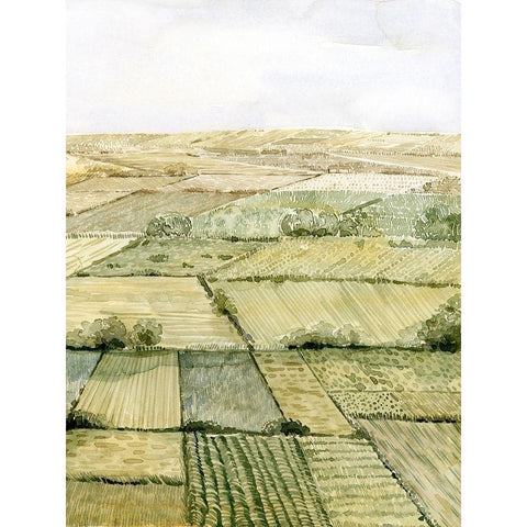 Flatlands II Gold Ornate Wood Framed Art Print with Double Matting by Popp, Grace