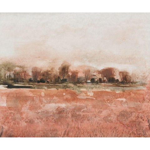 Red Soil II Black Modern Wood Framed Art Print with Double Matting by OToole, Tim