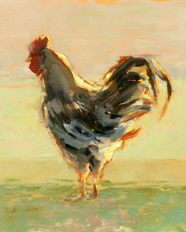Sunlit Rooster II White Modern Wood Framed Art Print with Double Matting by Harper, Ethan