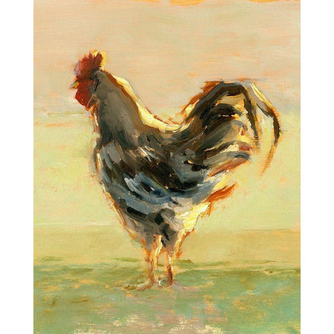Sunlit Rooster II Black Modern Wood Framed Art Print with Double Matting by Harper, Ethan