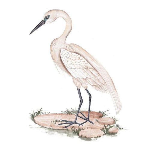 A White Heron I Black Modern Wood Framed Art Print by Wang, Melissa