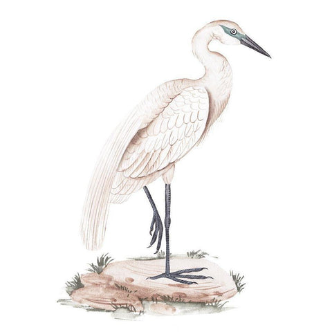 A White Heron IV Gold Ornate Wood Framed Art Print with Double Matting by Wang, Melissa