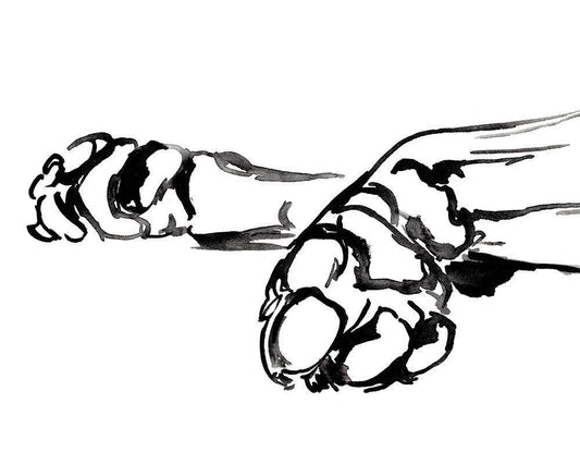 Image Only