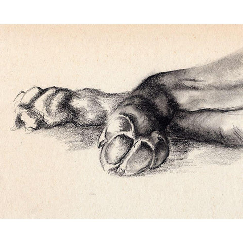 Charcoal Paws I Black Modern Wood Framed Art Print by Parker, Jennifer Paxton