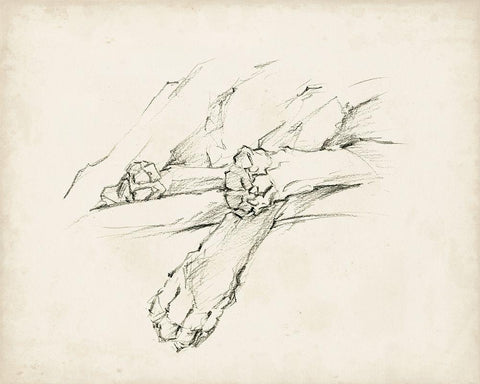 Puppy Nap II White Modern Wood Framed Art Print with Double Matting by Harper, Ethan