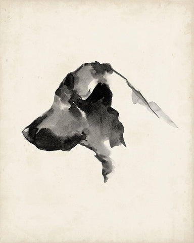 Puppy Profile II Black Ornate Wood Framed Art Print with Double Matting by Harper, Ethan