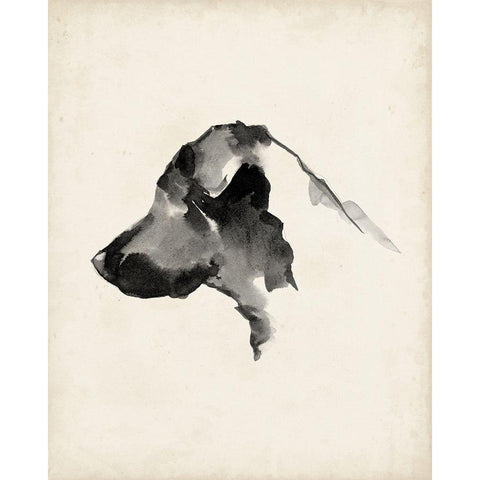 Puppy Profile II White Modern Wood Framed Art Print by Harper, Ethan