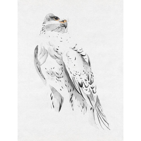 Gyrfalcon II White Modern Wood Framed Art Print by Wang, Melissa