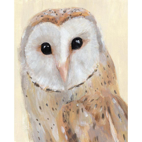 Common Barn Owl I White Modern Wood Framed Art Print by Warren, Annie