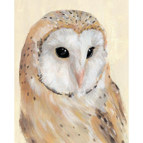 Common Barn Owl II Black Modern Wood Framed Art Print with Double Matting by Warren, Annie