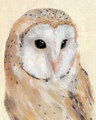 Common Barn Owl II White Modern Wood Framed Art Print with Double Matting by Warren, Annie